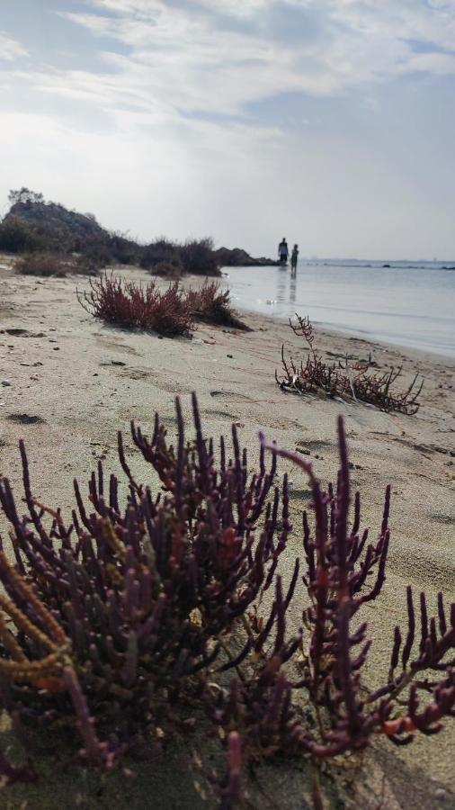 Fantastic 4 Cyprus First Line Beachfront Boghaz Luaran gambar