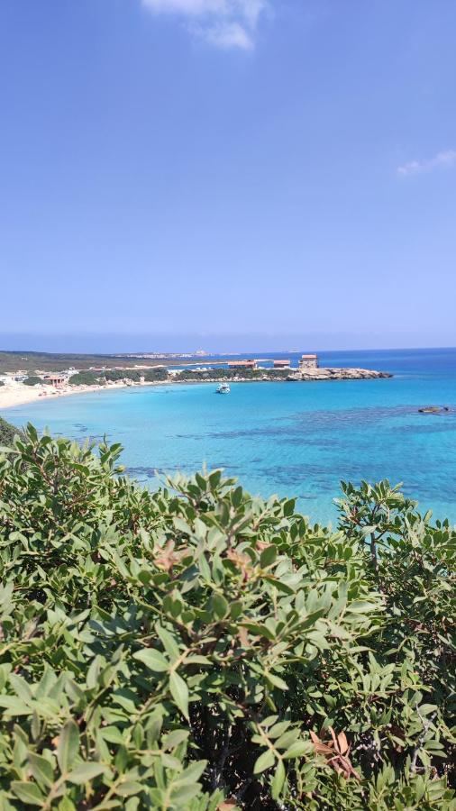 Fantastic 4 Cyprus First Line Beachfront Boghaz Luaran gambar